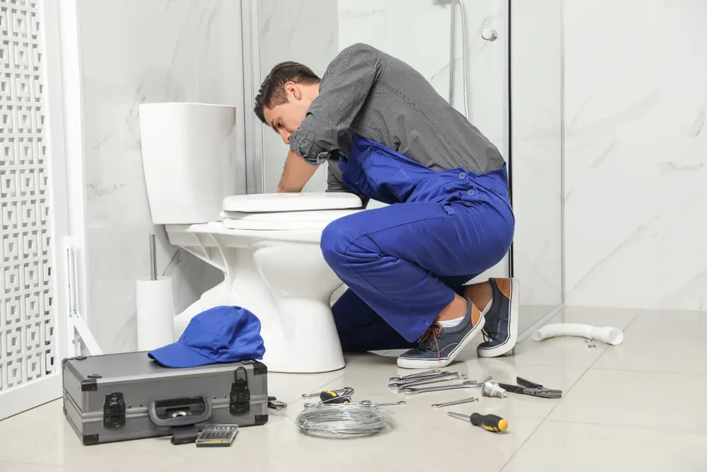 Toilet Repair in Bodega